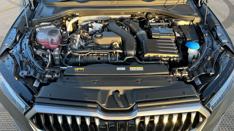 Used Skoda Superb 2025 for sale - 77079221: Photo 17