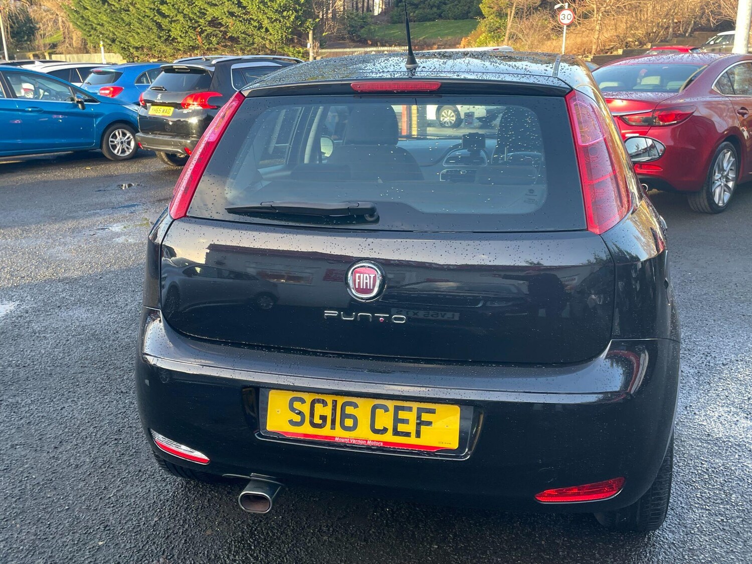 Used Fiat Punto 2016 for sale - 76825174: Photo 10