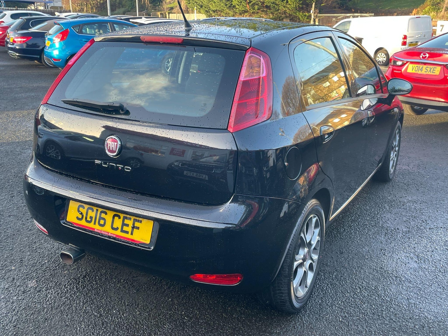 Used Fiat Punto 2016 for sale - 76825174: Photo 11