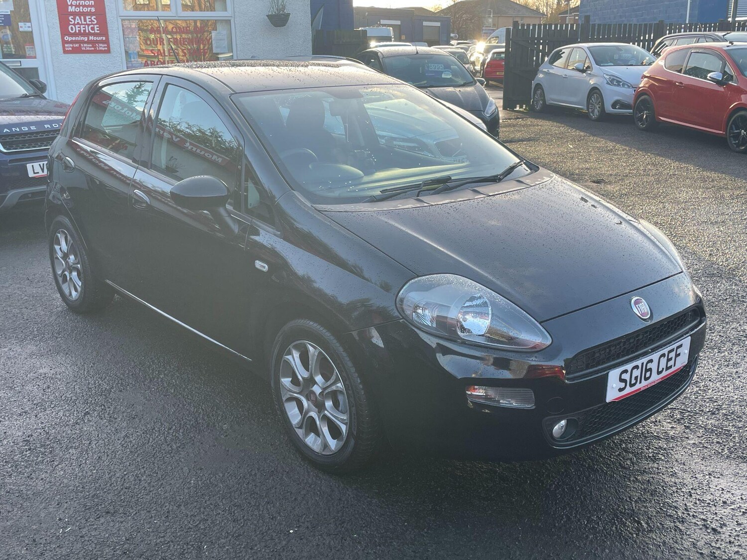 Used Fiat Punto 2016 for sale - 76825174: Photo 13