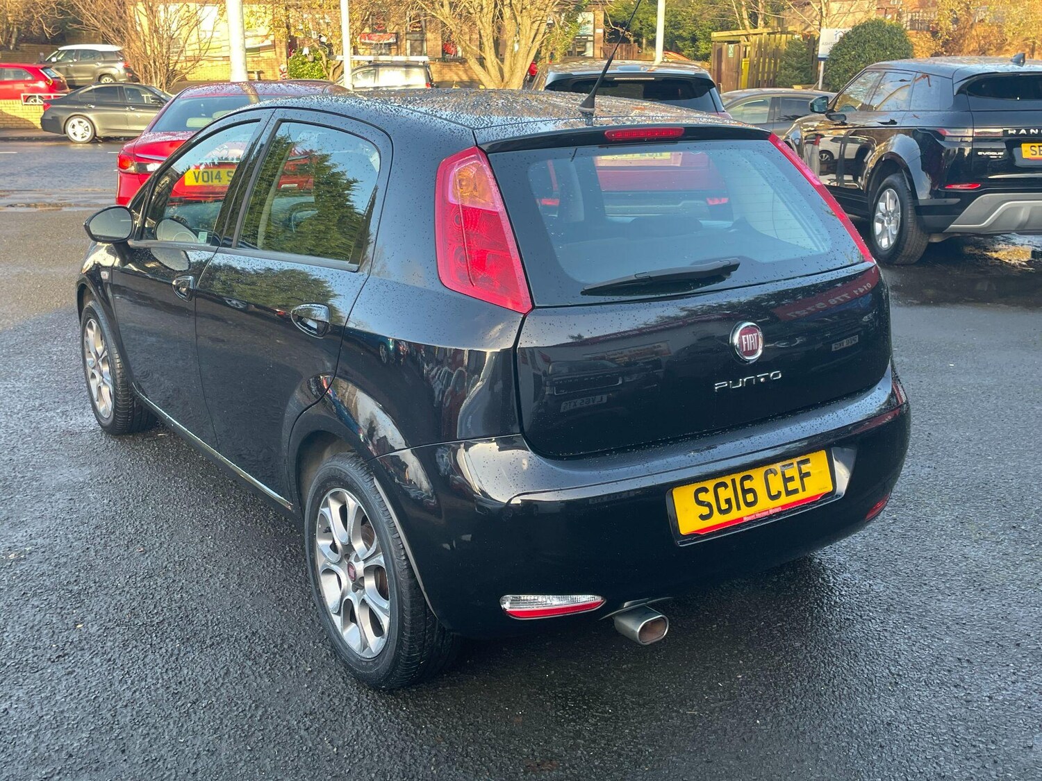 Used Fiat Punto 2016 for sale - 76825174: Photo 9