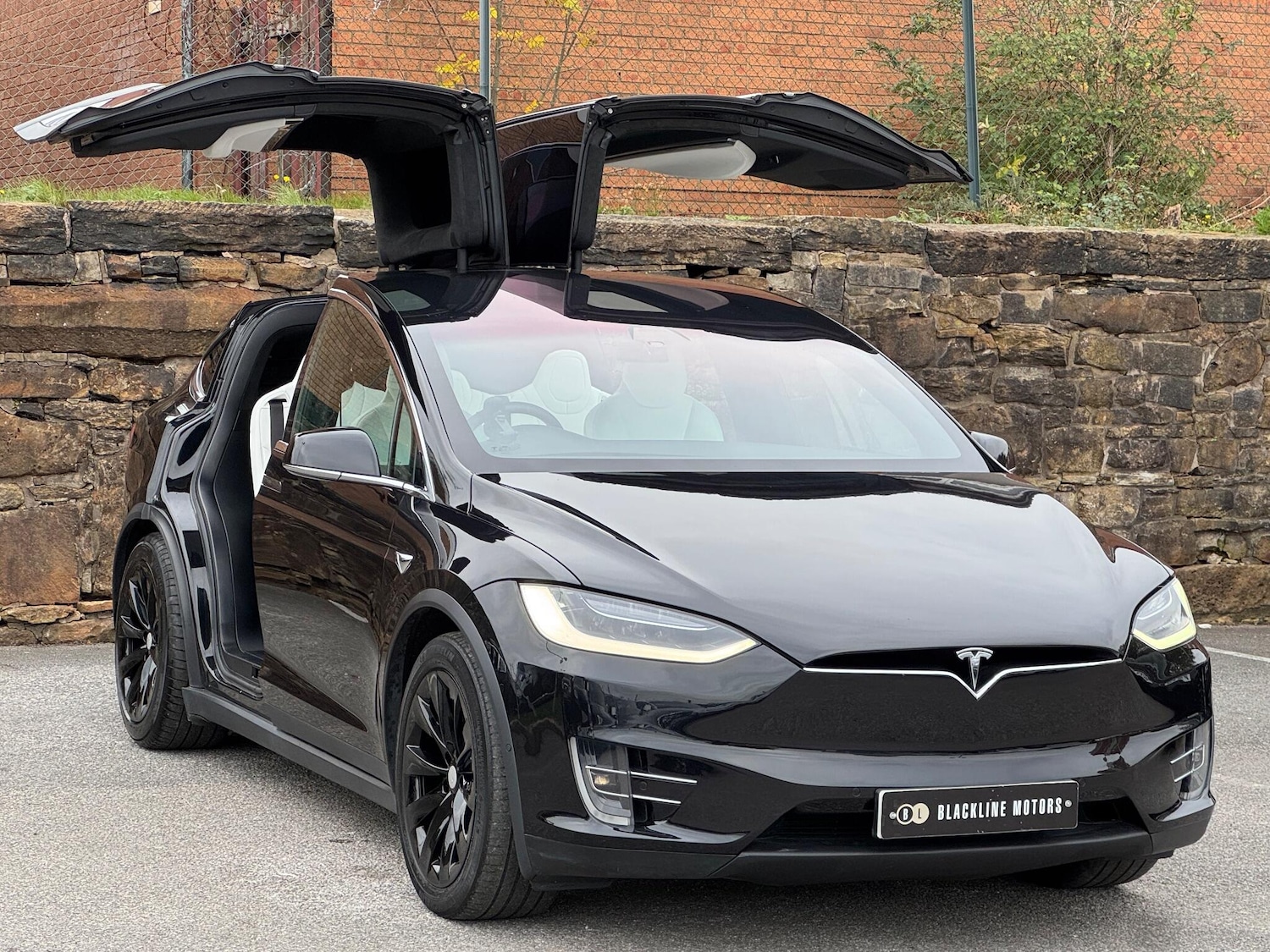 Used Tesla Model X for sale - 76989041: Photo 1