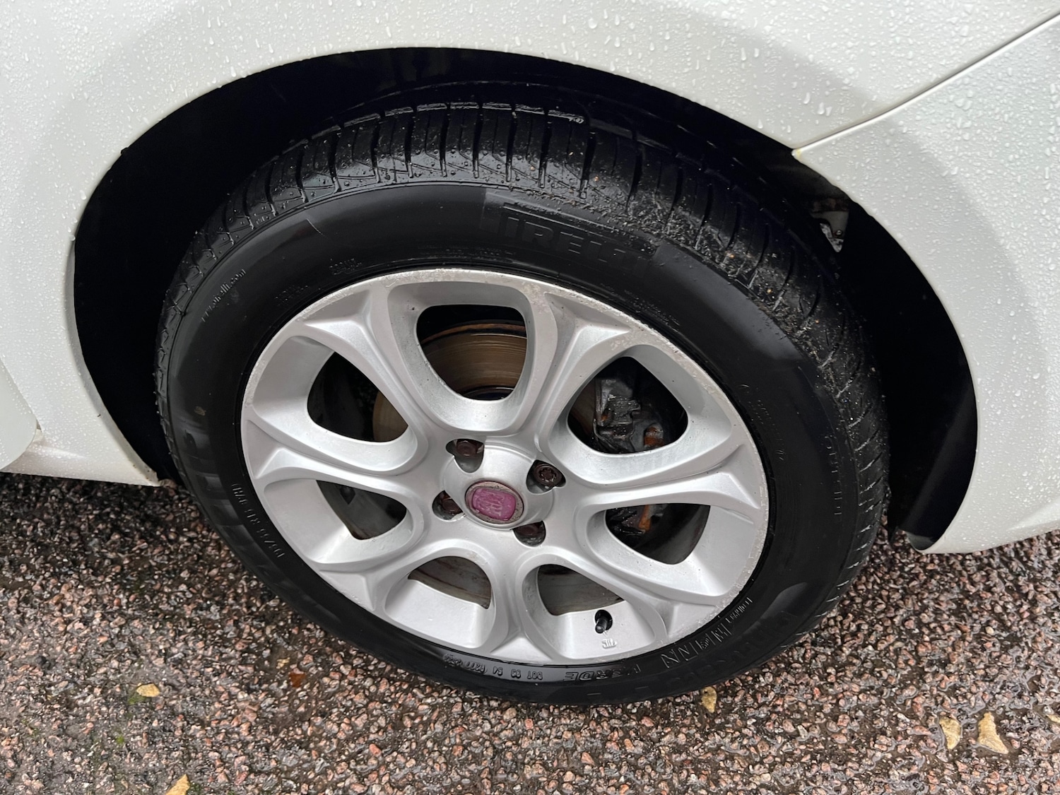 Used Fiat Punto Evo 2010 for sale - 76616406: Photo 13