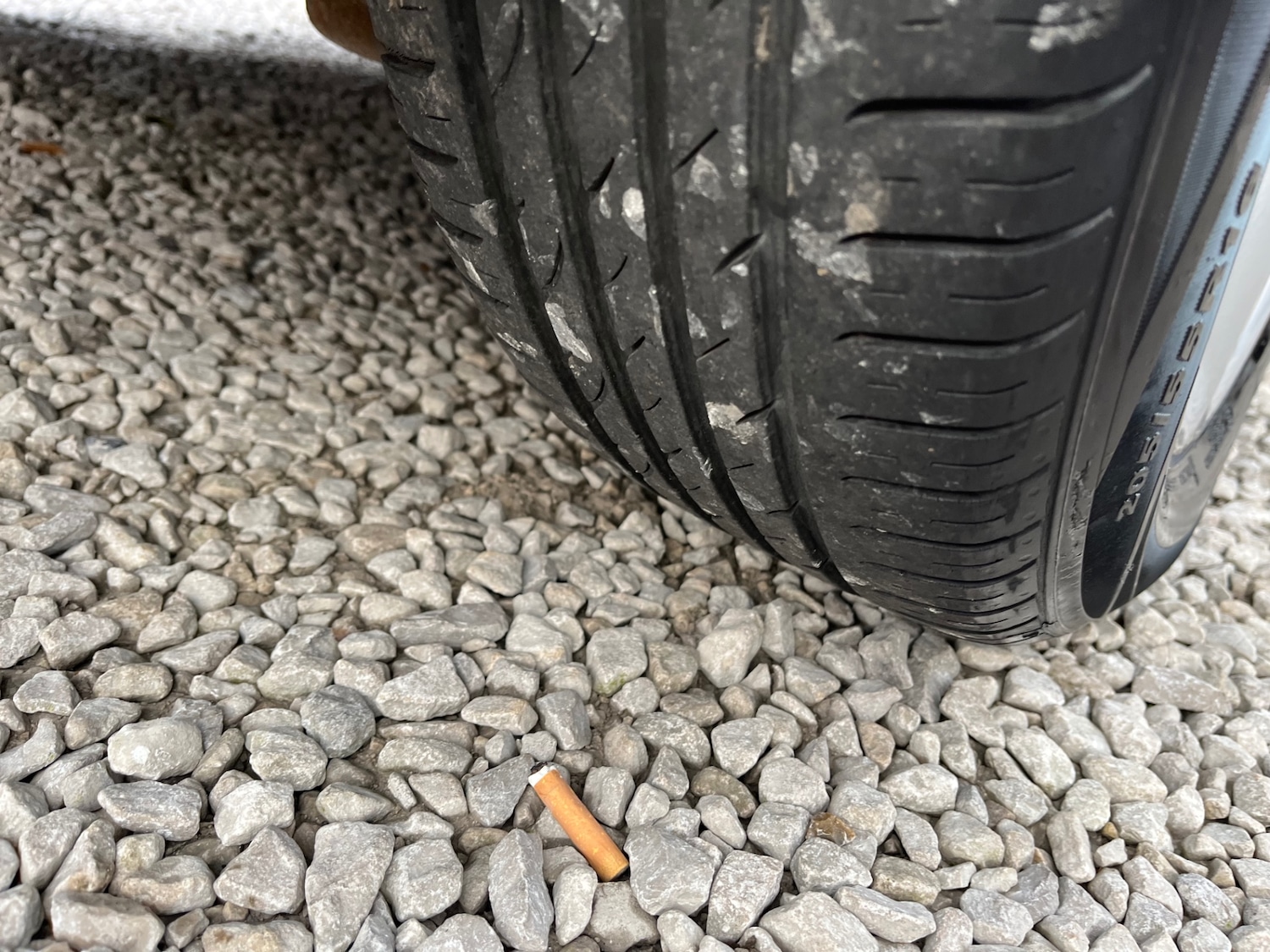 Used Ford Focus 2010 for sale - 76225480: Photo 15