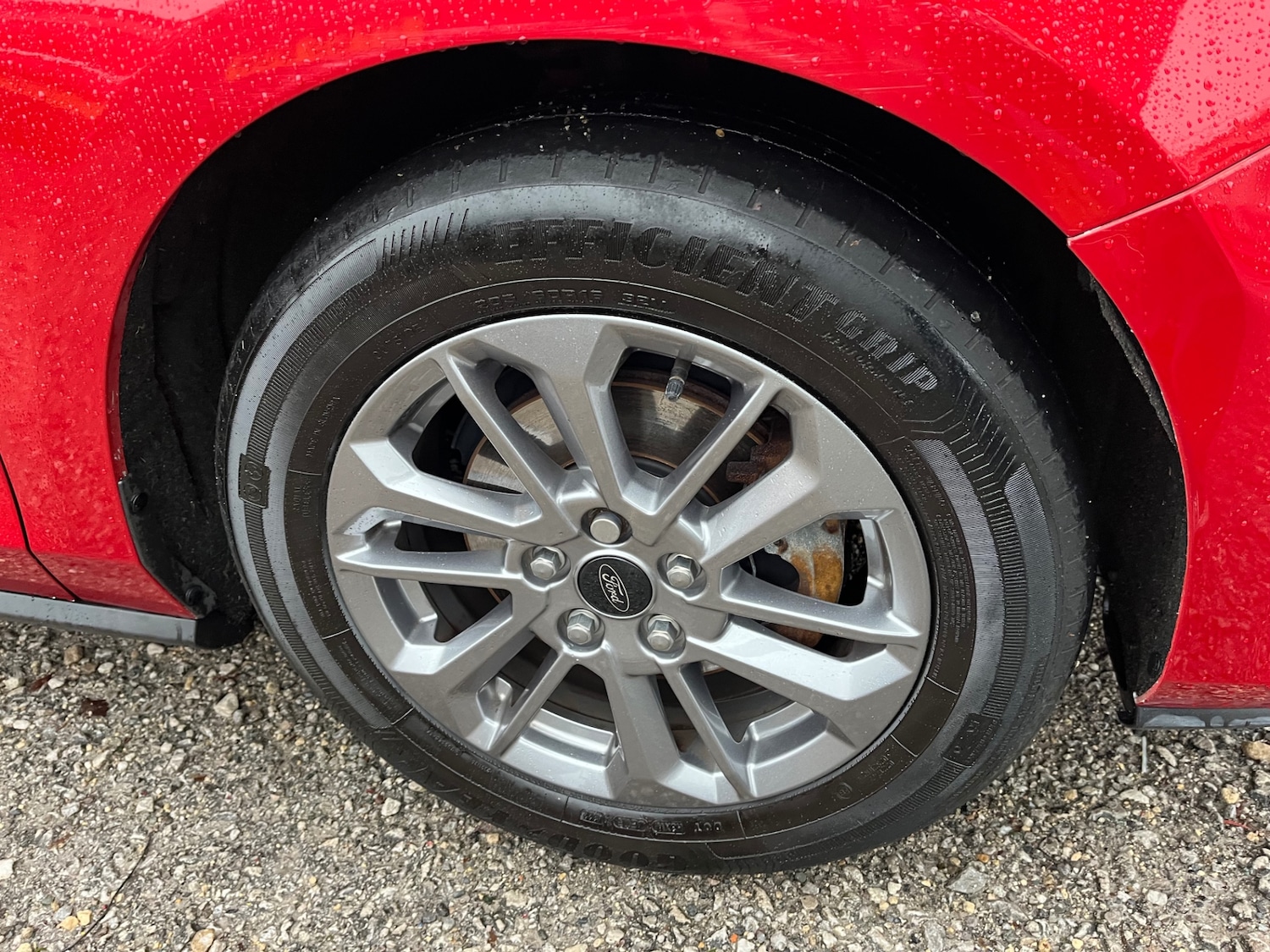 Used Ford Focus 2023 for sale - 76984288: Photo 11