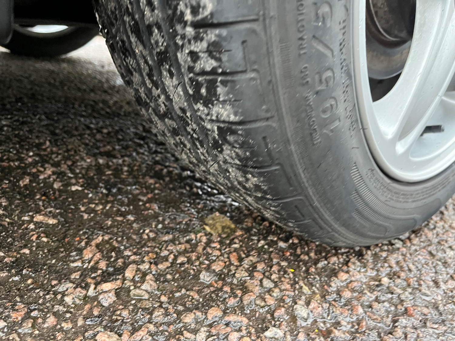 Used MINI Clubman 2010 for sale - 77681901: Photo 19