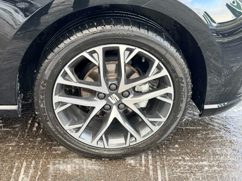 Used SEAT Ibiza 2025 for sale - 77088269: Photo 15