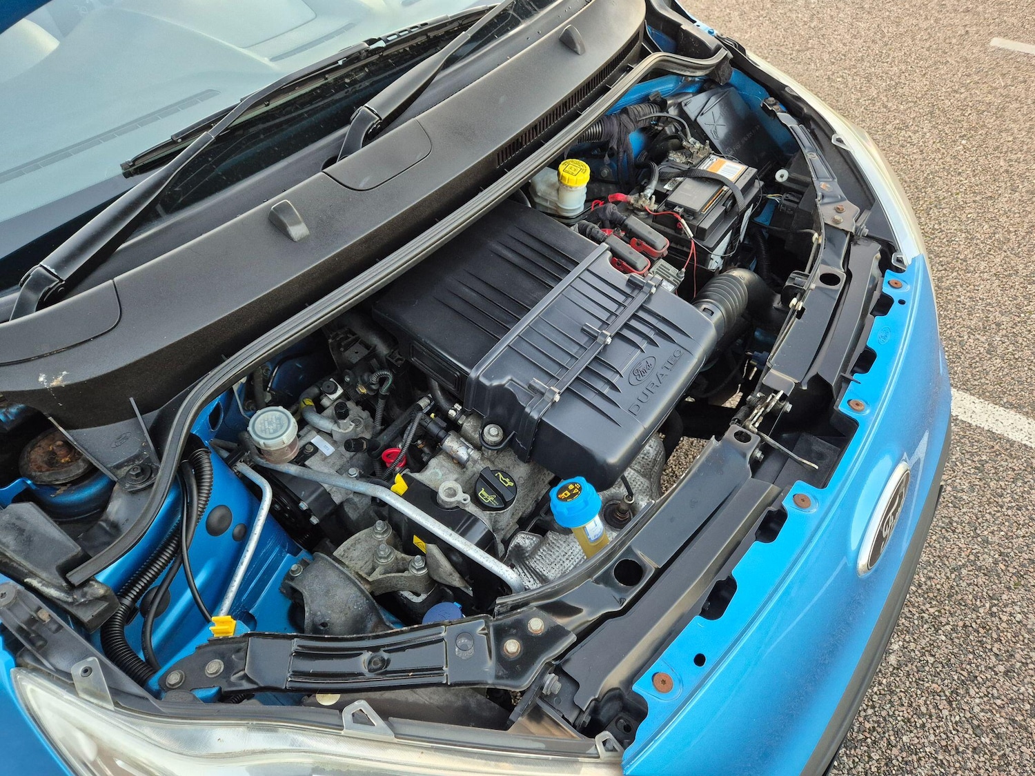 Used Ford Ka 2010 for sale - 76659184: Photo 84