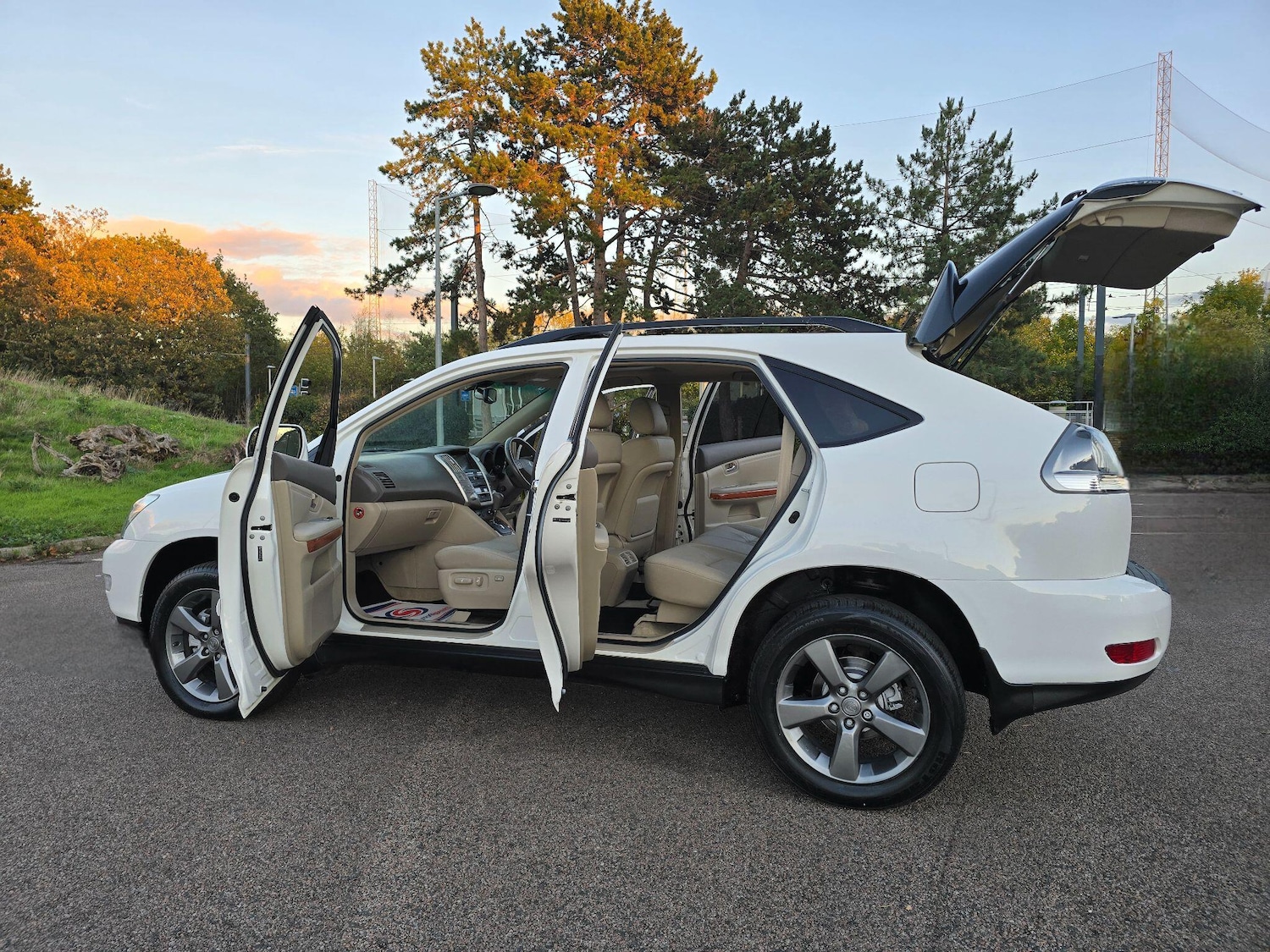 Used Lexus RX 2008 for sale - 76380779: Photo 39