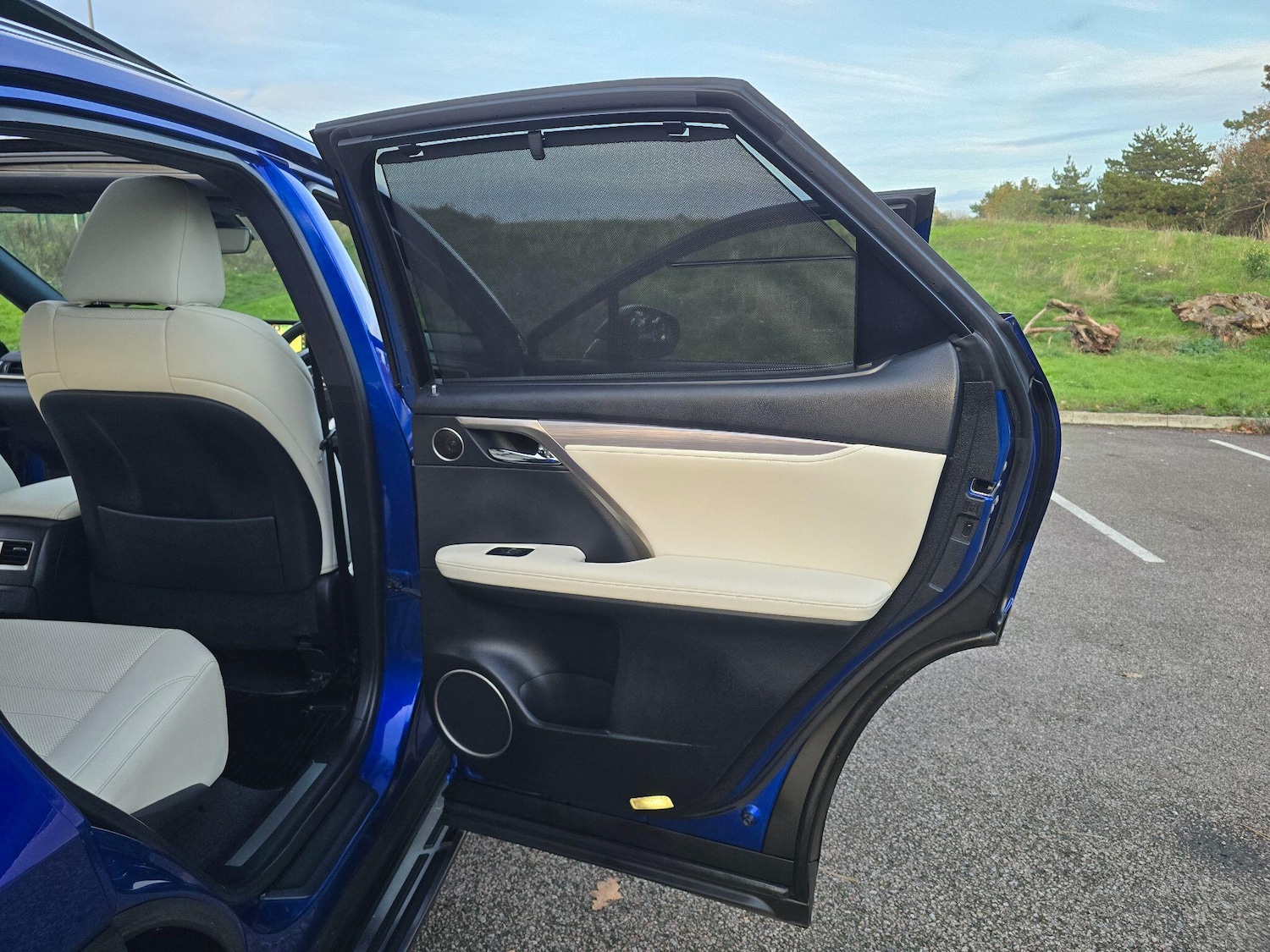 Used Lexus RX 2019 for sale - 76573075: Photo 47