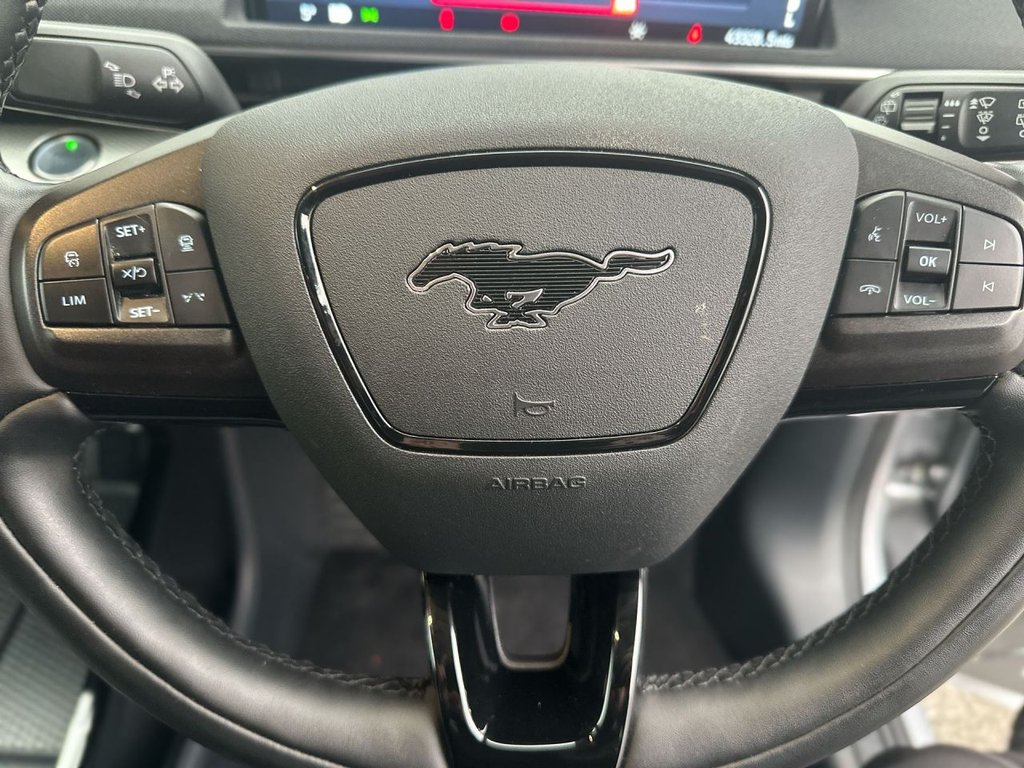 Used Ford Mustang Mach-E 2022 for sale - 77038015: Photo 20