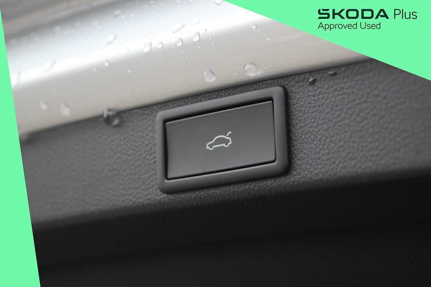 Used Skoda Octavia 2026 for sale - 78105537: Photo 13