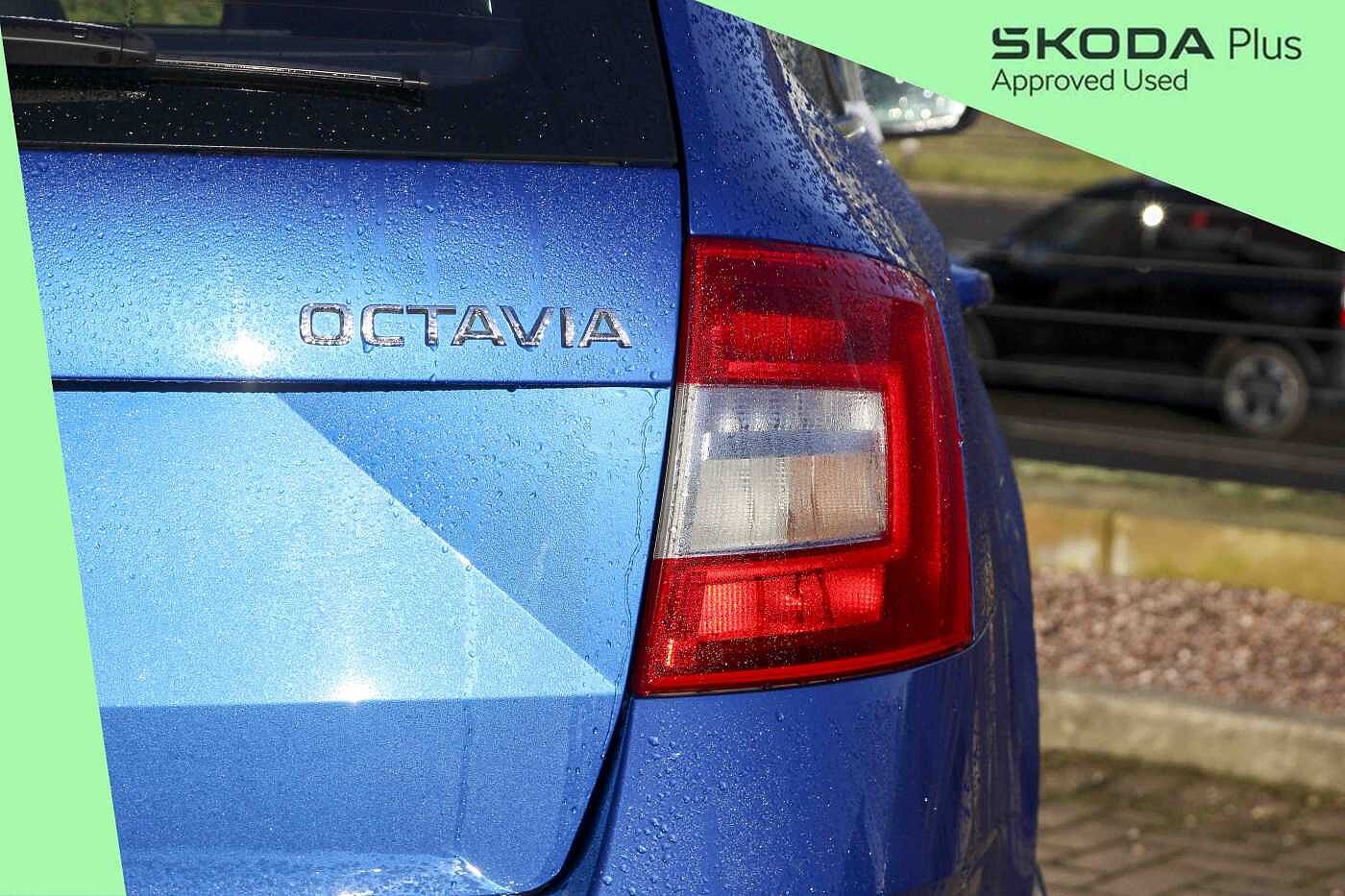 Used Skoda Octavia 2020 for sale - 77700579: Photo 21