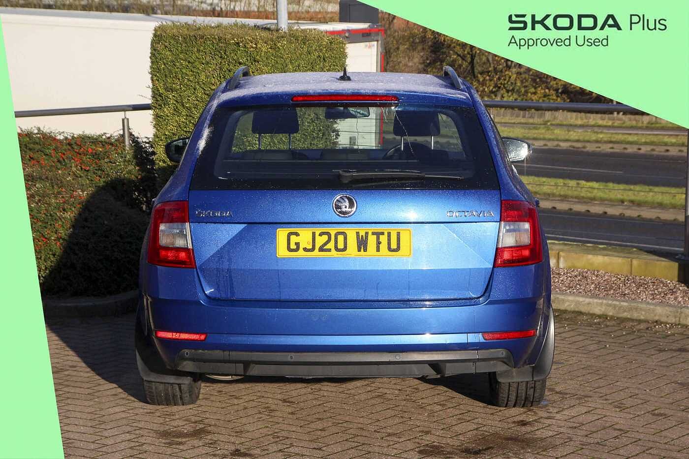 Used Skoda Octavia 2020 for sale - 77842631: Photo 12