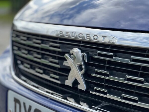 Used Peugeot 308 2017 for sale - 76185666: Photo 10