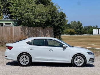 Used Skoda Octavia 2023 for sale - 79009884: Photo