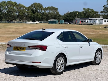 Used Skoda Octavia 2023 for sale - 79009884: Photo