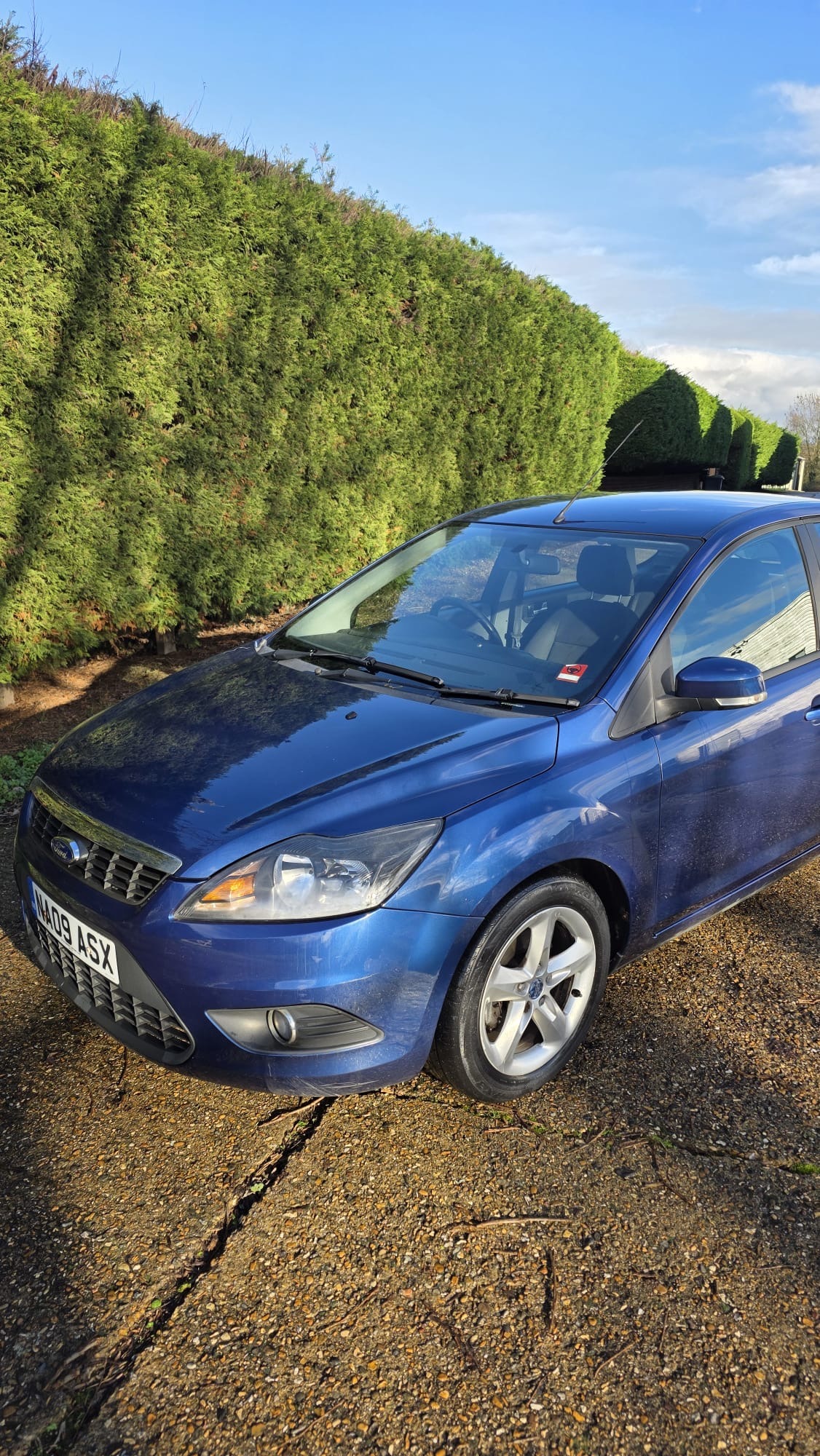 Used Ford Focus 2009 for sale - 77233501: Photo 11