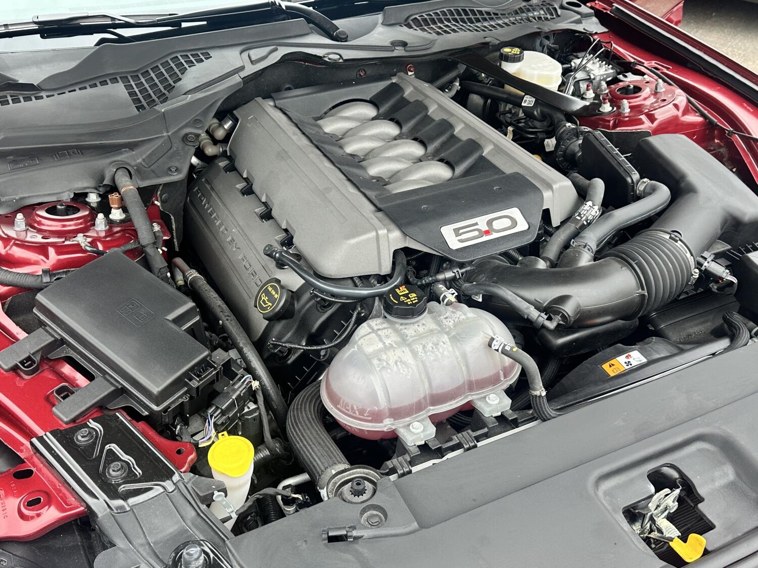 Used Ford Mustang 2017 for sale - 77595814: Photo 36