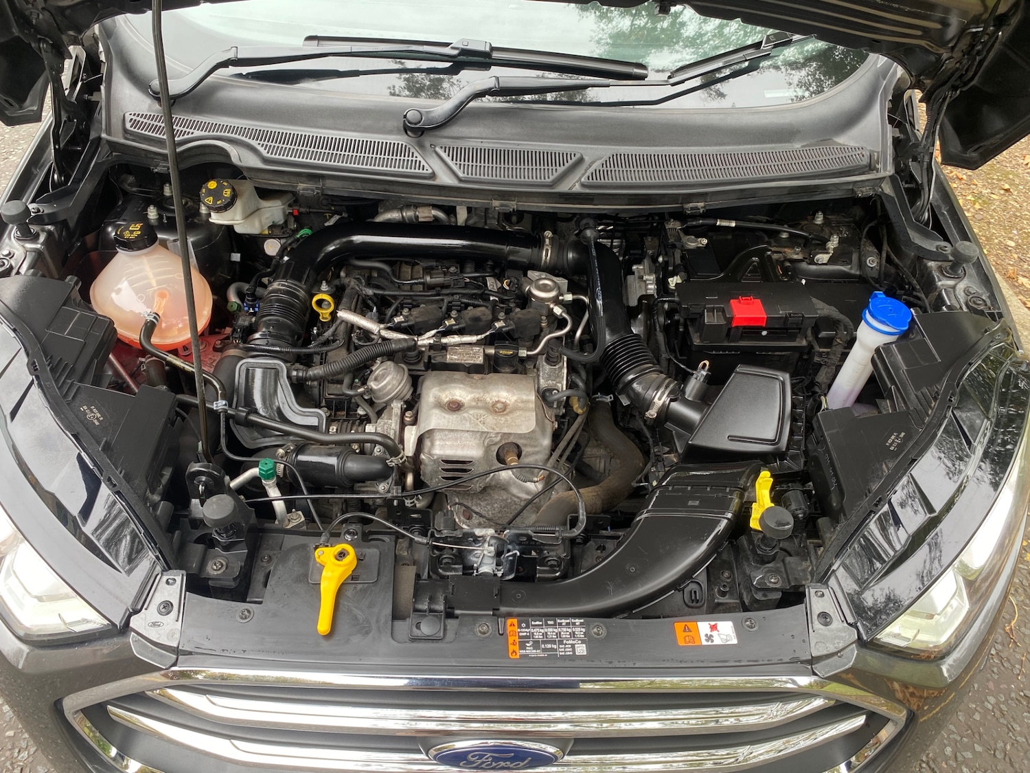 Used Ford Ecosport 2018 for sale - 76194243: Photo 21