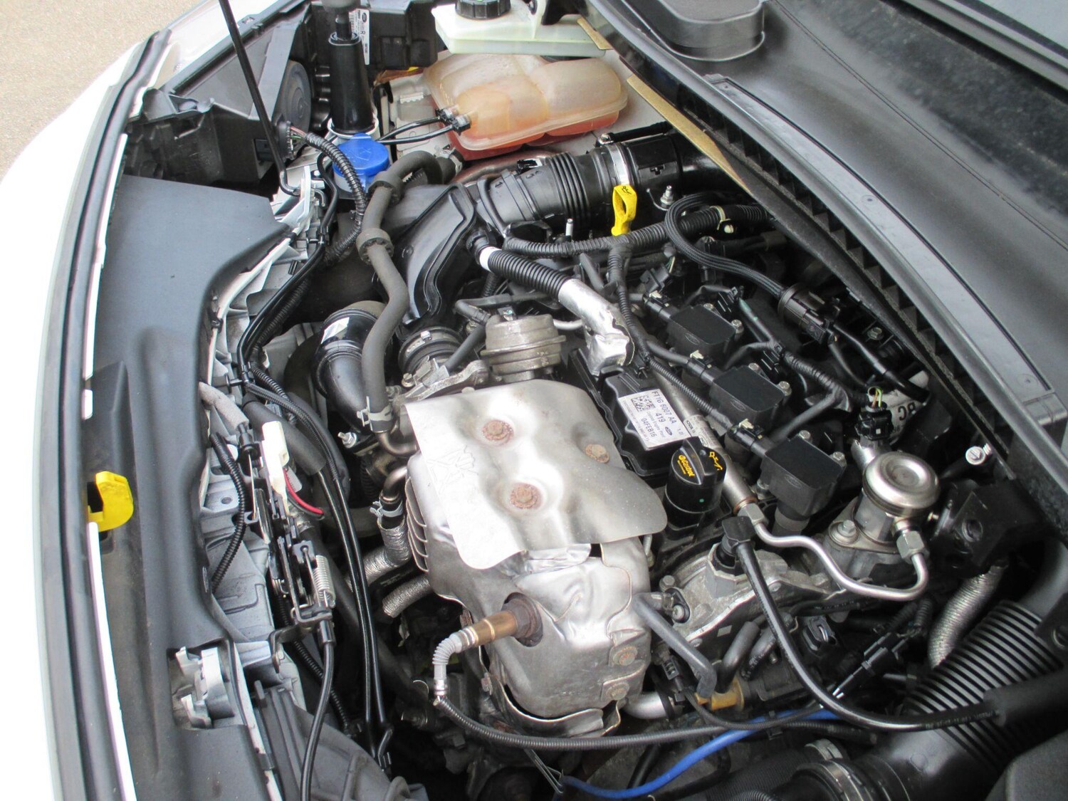 Used Ford Transit Connect for sale - 78115097: Photo 41