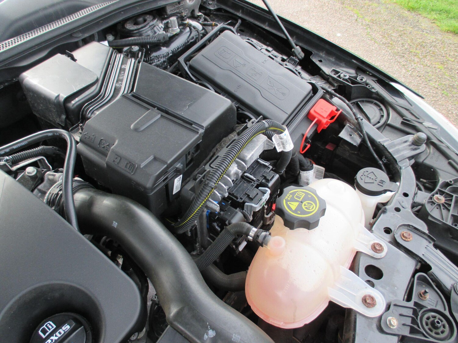 Used Vauxhall Insignia 2019 for sale - 77909268: Photo 50