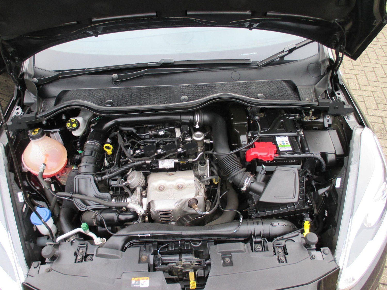 Used Ford Fiesta for sale - 77671561: Photo 53