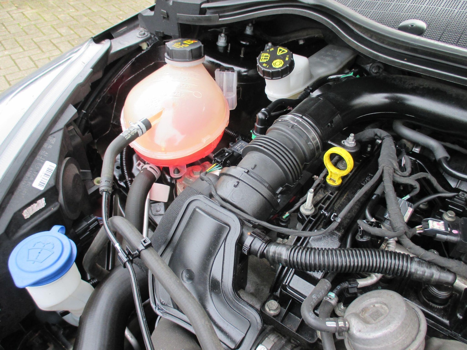 Used Ford Fiesta for sale - 77671561: Photo 55