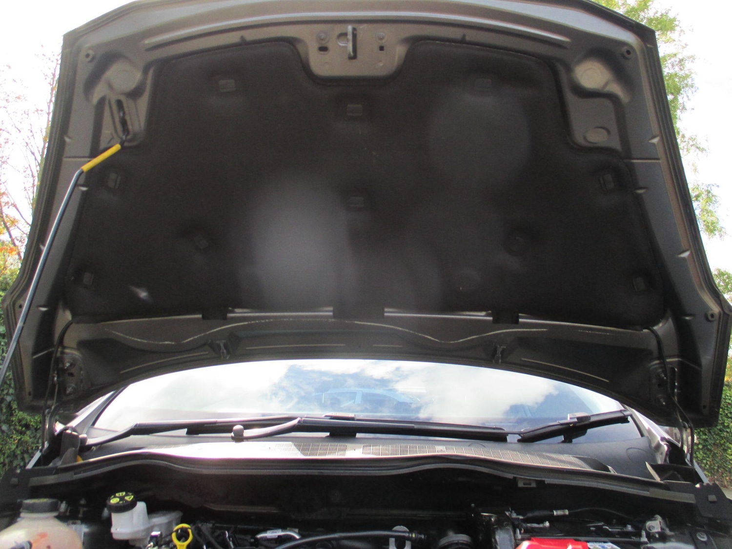 Used Ford Fiesta 2018 for sale - 76348972: Photo 48