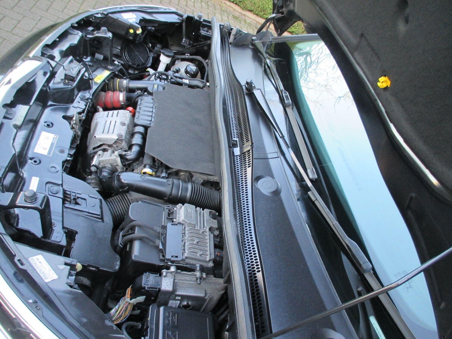 Used Citroen C3 Aircross 2017 for sale - 76886996: Photo 52