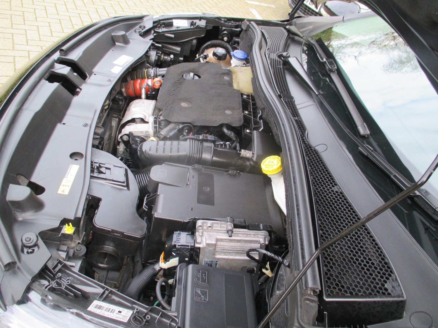 Used Peugeot 2008 2019 for sale - 76398389: Photo 49