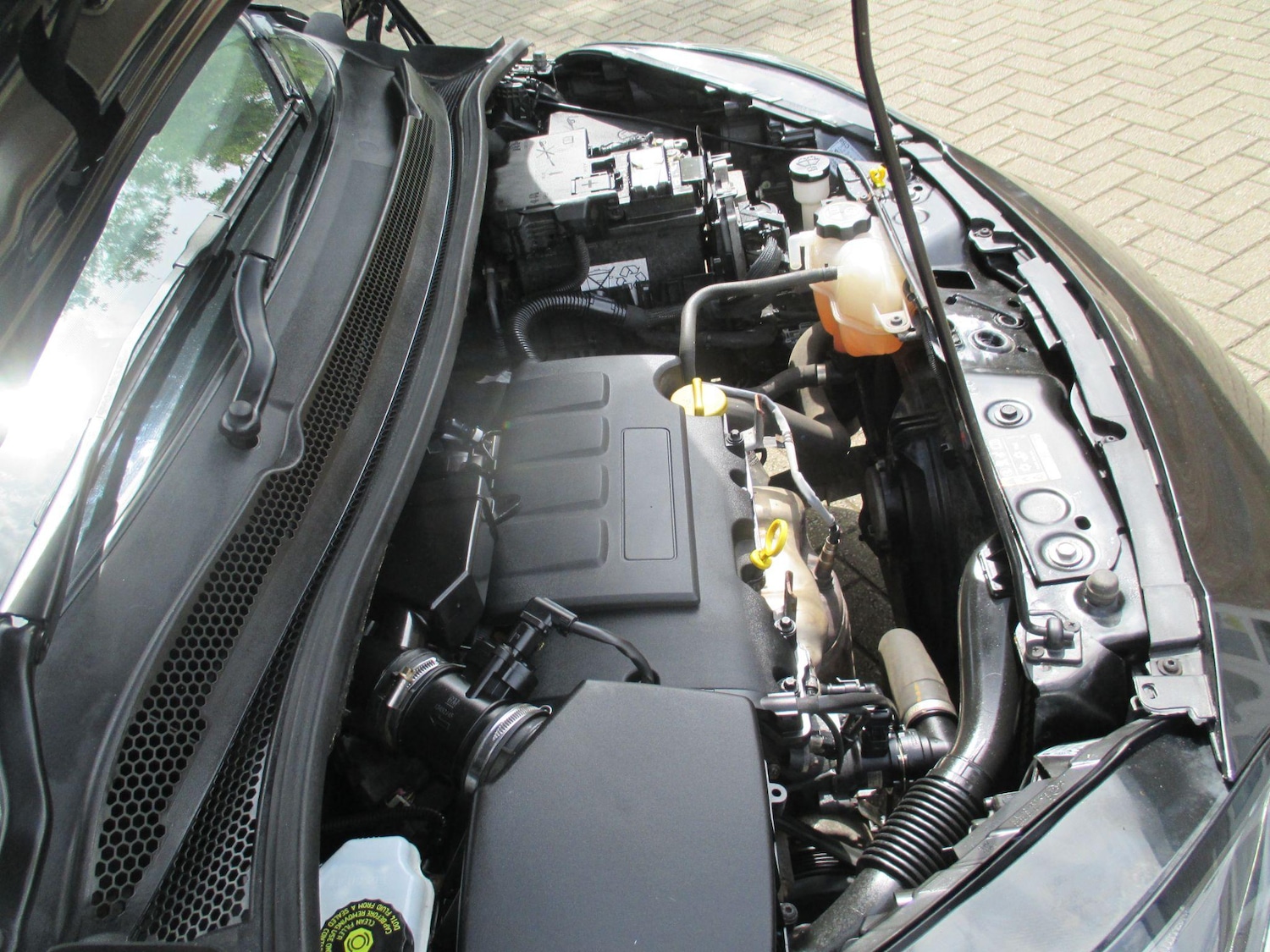 Vehicle 45