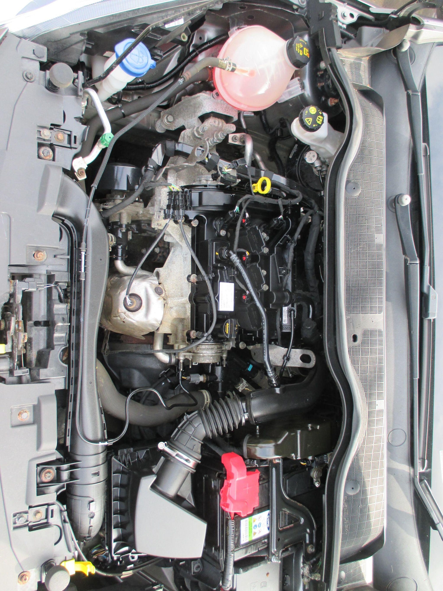 Used Ford Fiesta 2017 for sale - 77993499: Photo 43