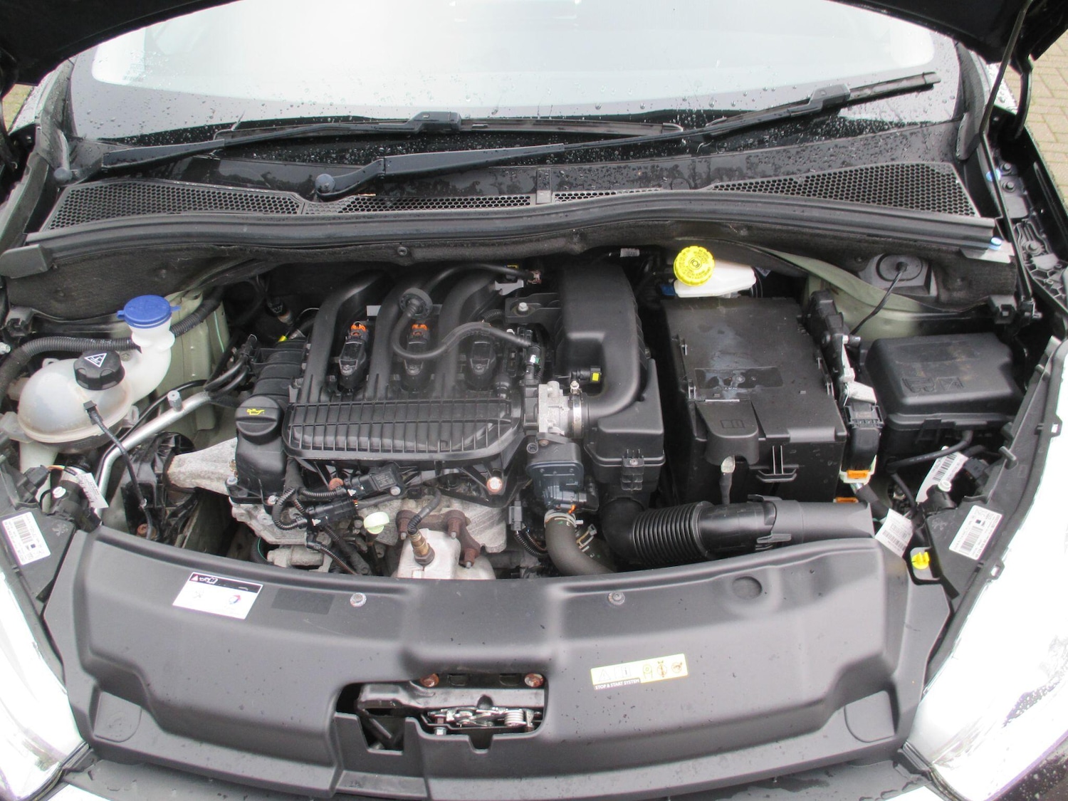 Vehicle 44