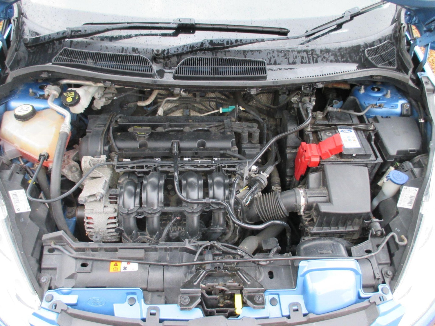 Used Ford Fiesta for sale - 77925953: Photo 33