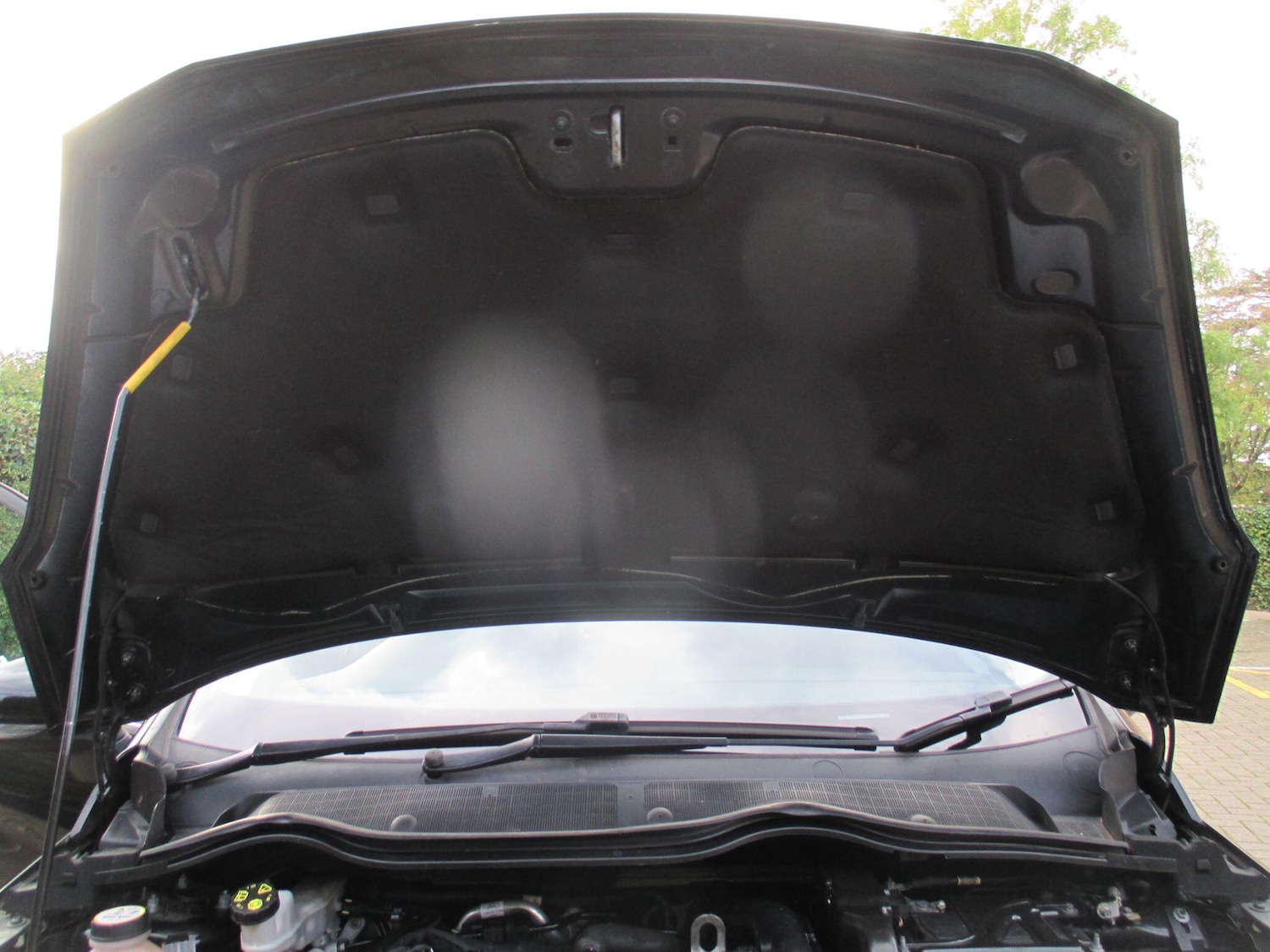 Used Ford Fiesta 2018 for sale - 76349629: Photo 52