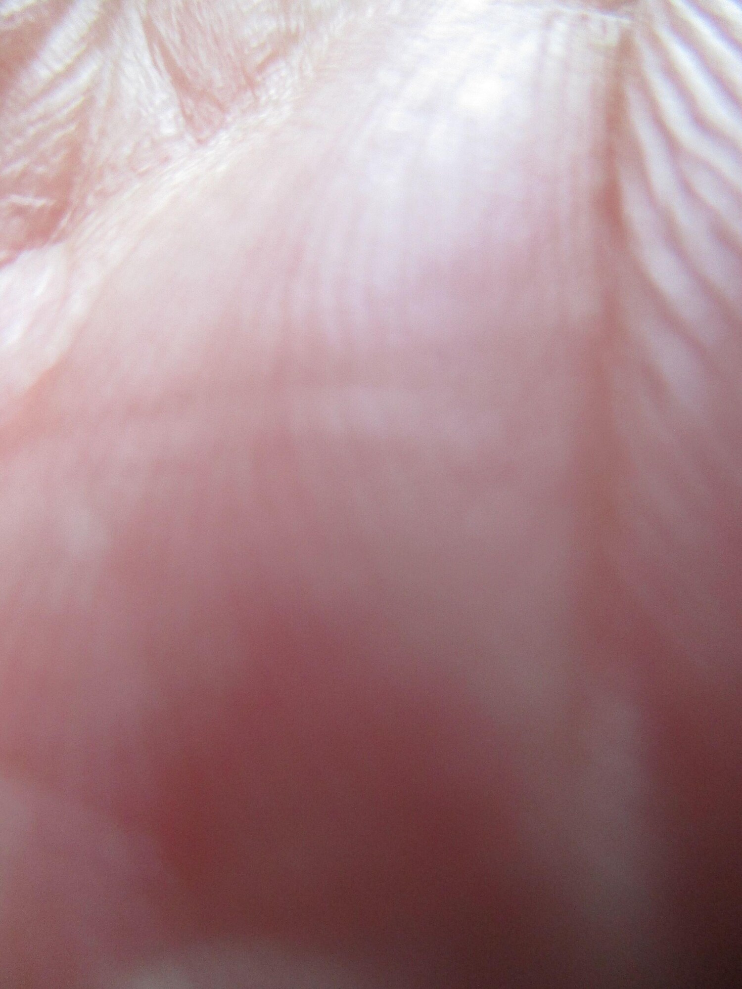 Used Vauxhall Astra for sale - 77585846: Photo 47