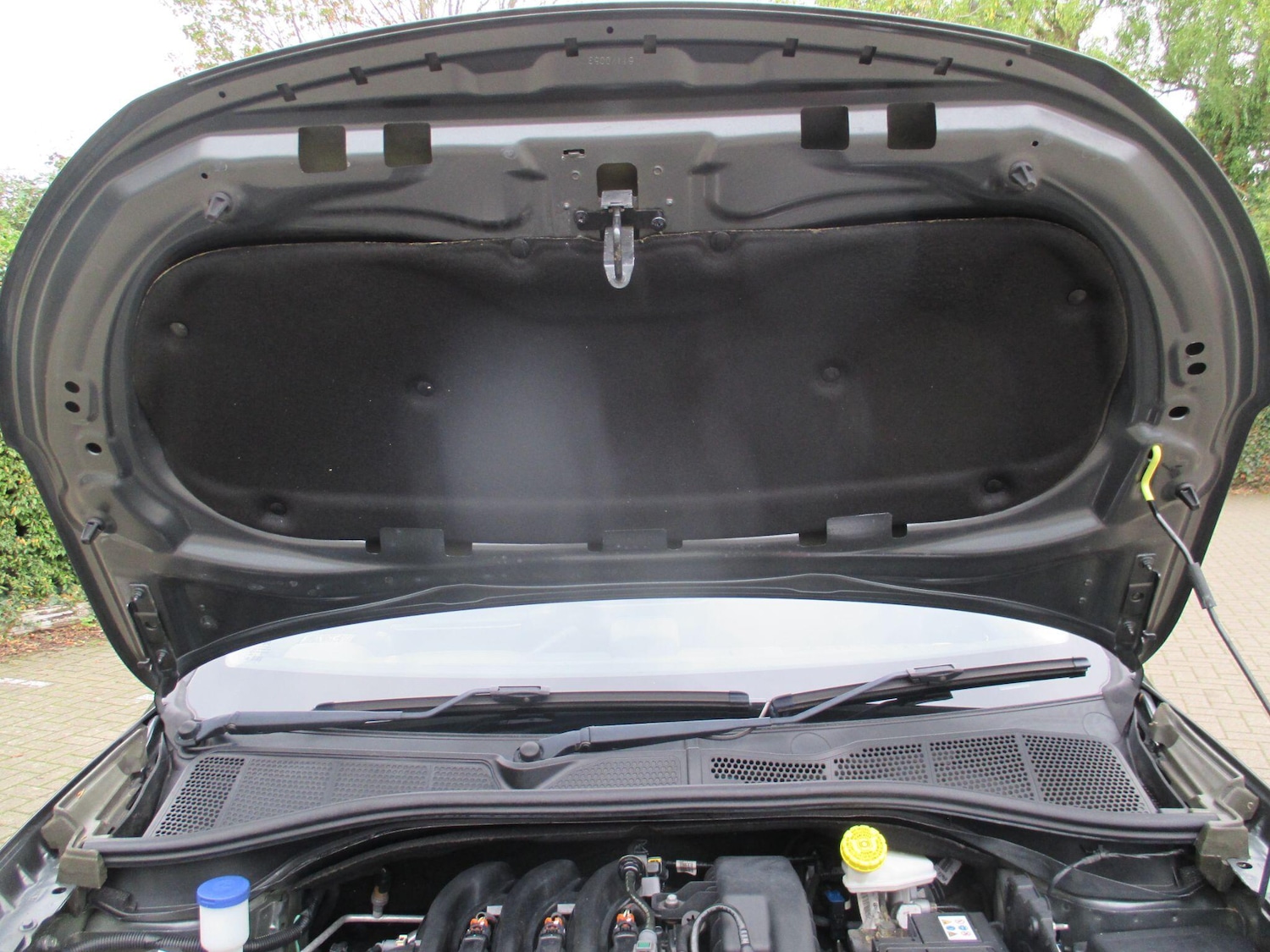 Used Citroen C4 Cactus 2016 for sale - 76337657: Photo 51