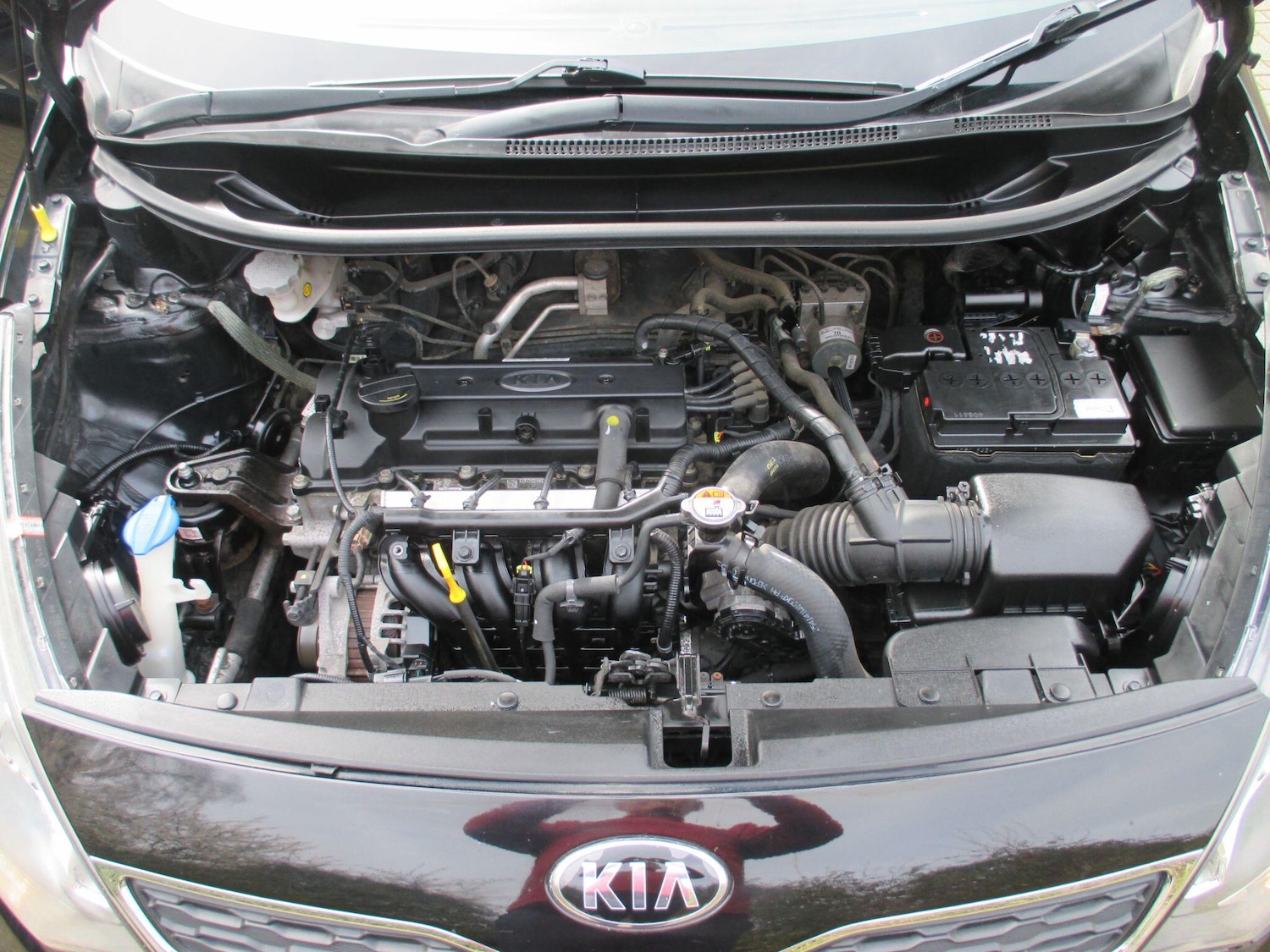 Used Kia Rio 2014 for sale - 77978079: Photo 37