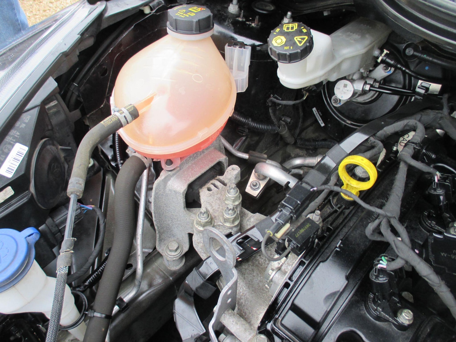 Used Ford Fiesta 2017 for sale - 78048055: Photo 55