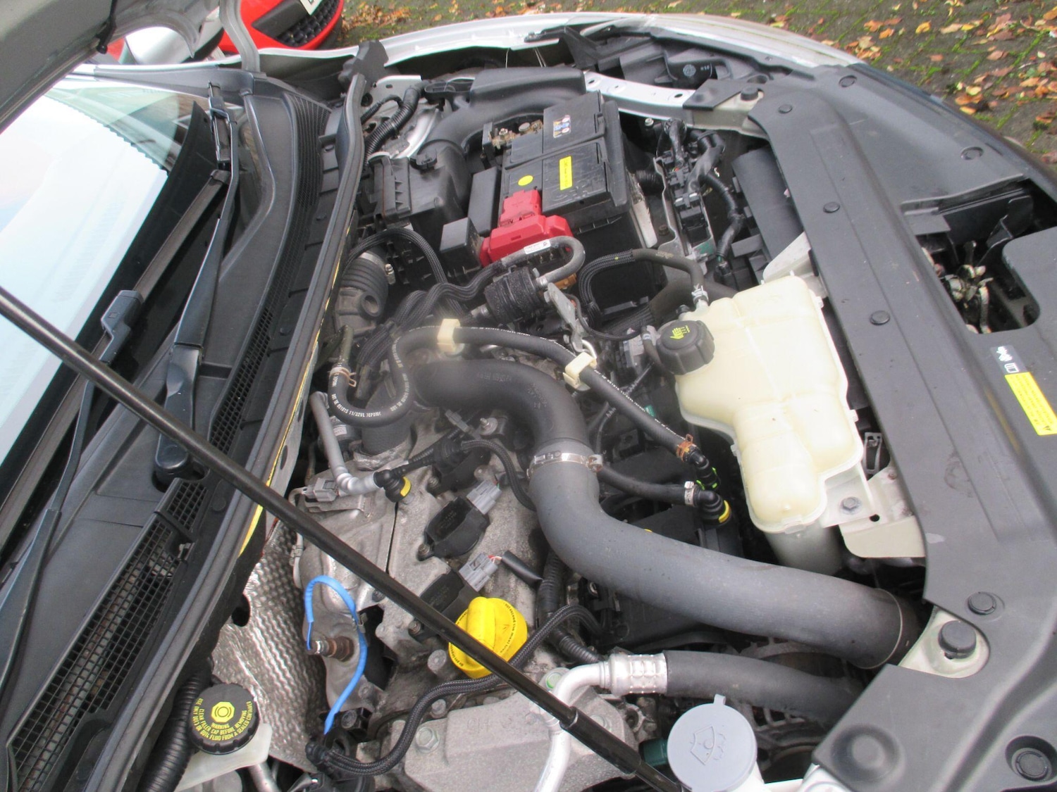 Used Nissan Pulsar 2016 for sale - 76511932: Photo 52