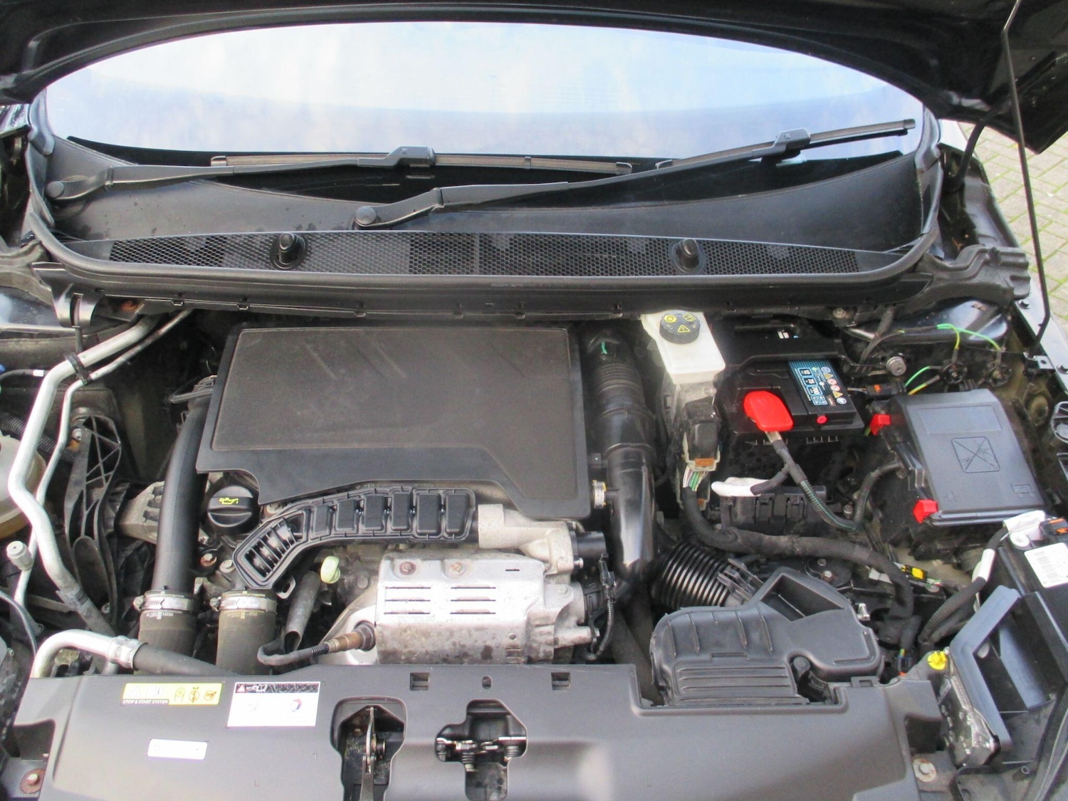 Used Peugeot 308 2018 for sale - 77305443: Photo 48