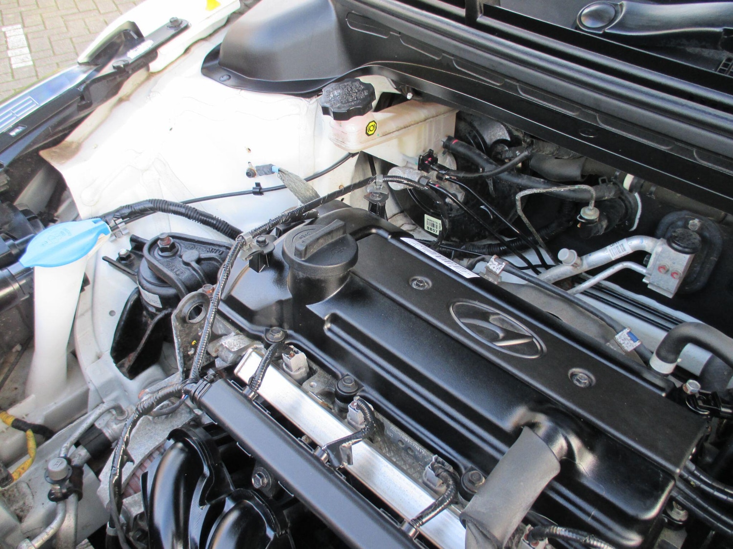 Used Hyundai i20 2017 for sale - 77892144: Photo 53