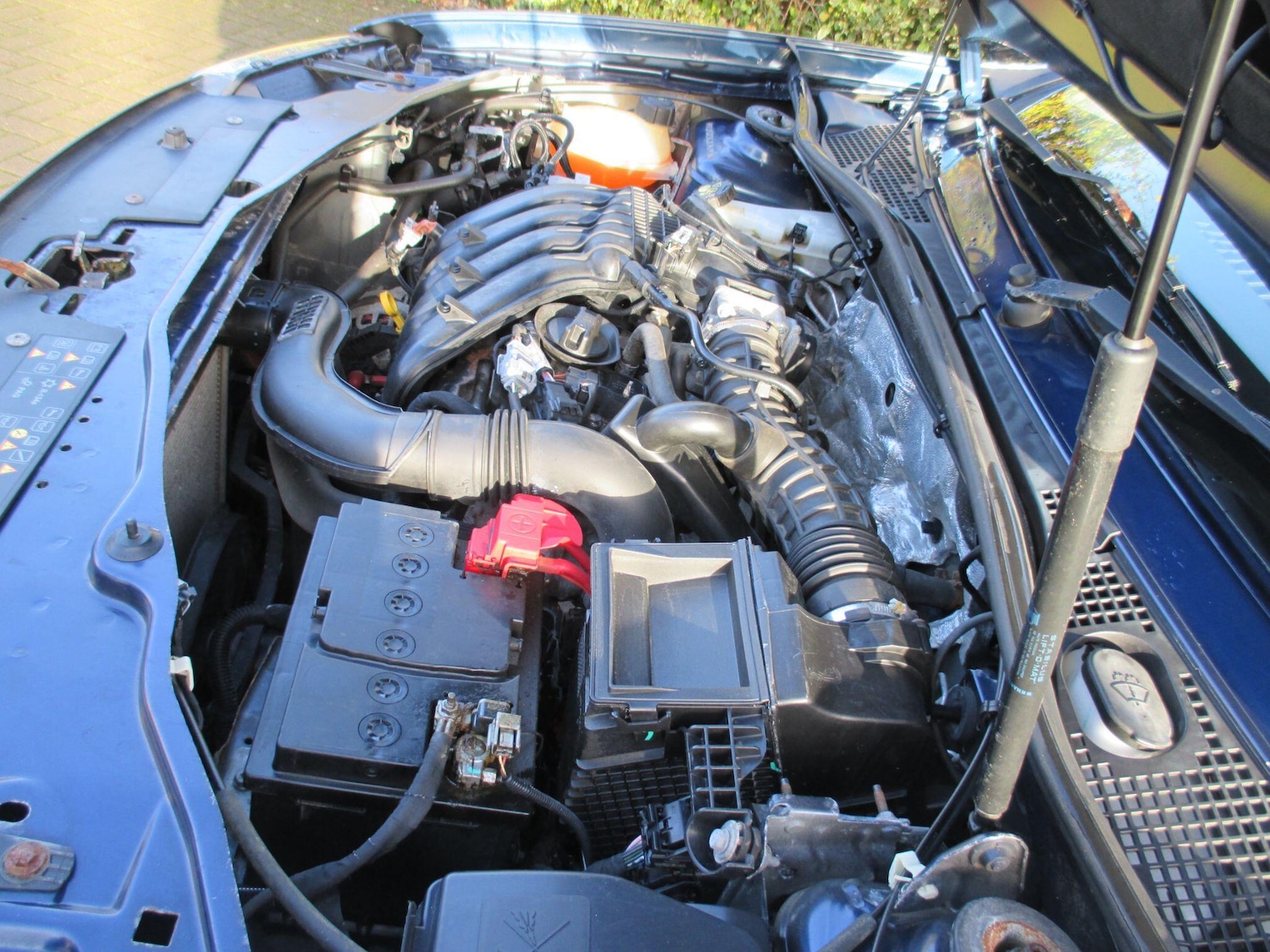 Used Dacia Duster 2016 for sale - 76780566: Photo 39