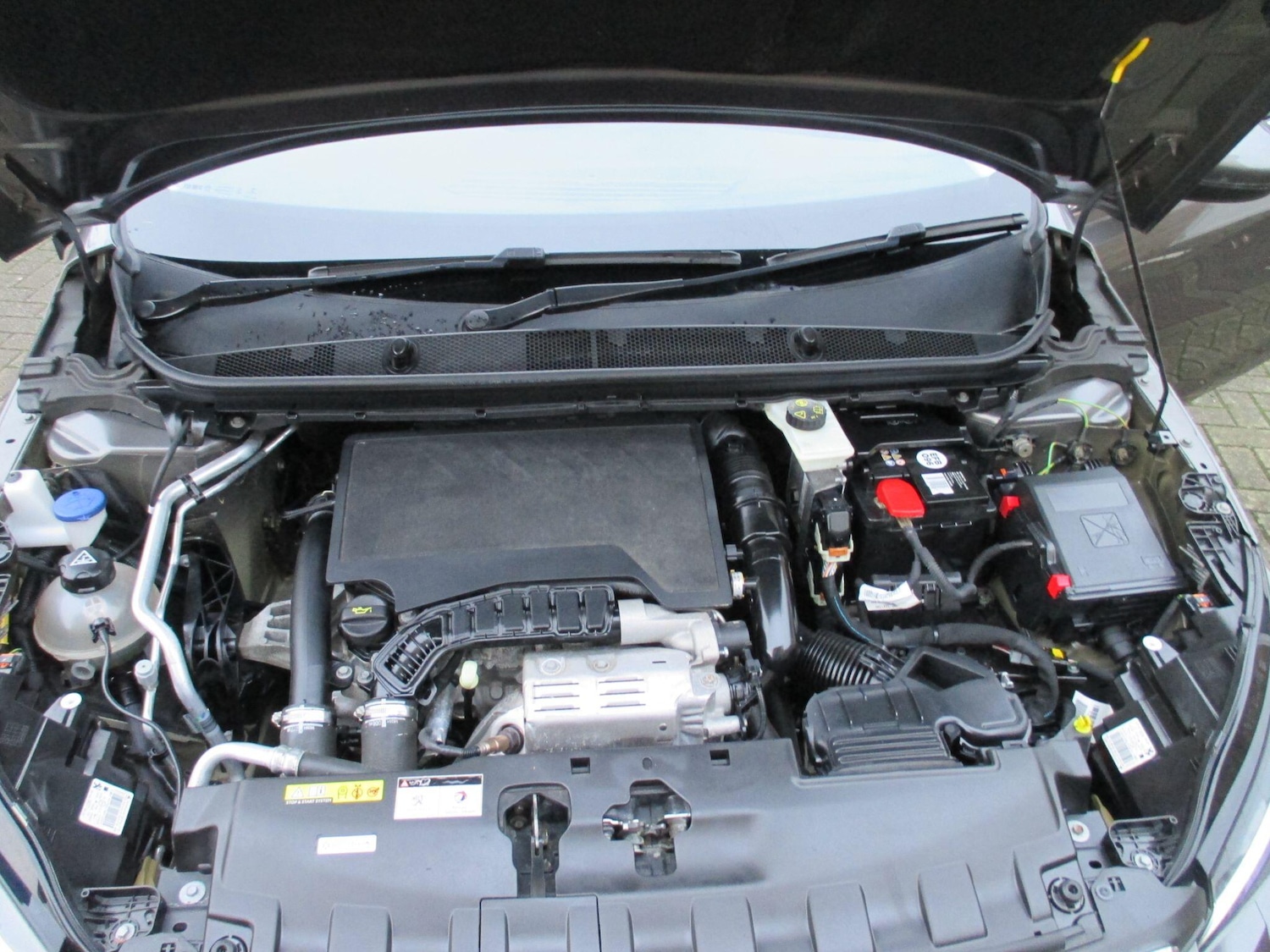 Used Peugeot 308 2019 for sale - 76989711: Photo 48