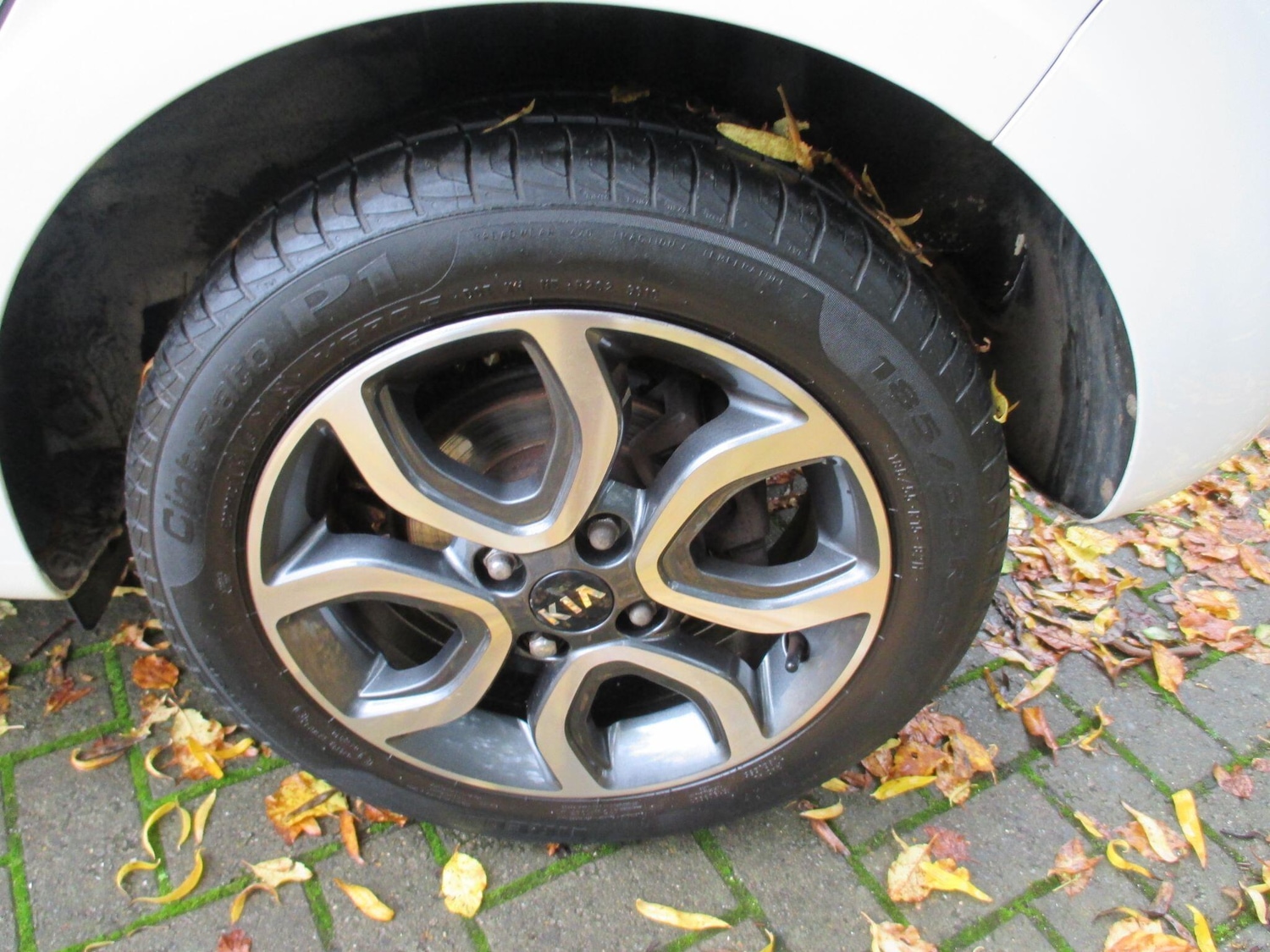 Used Kia Picanto 2019 for sale - 76994008: Photo 11