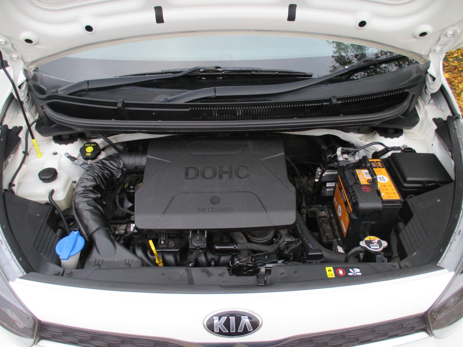 Used Kia Picanto 2019 for sale - 76994008: Photo 48