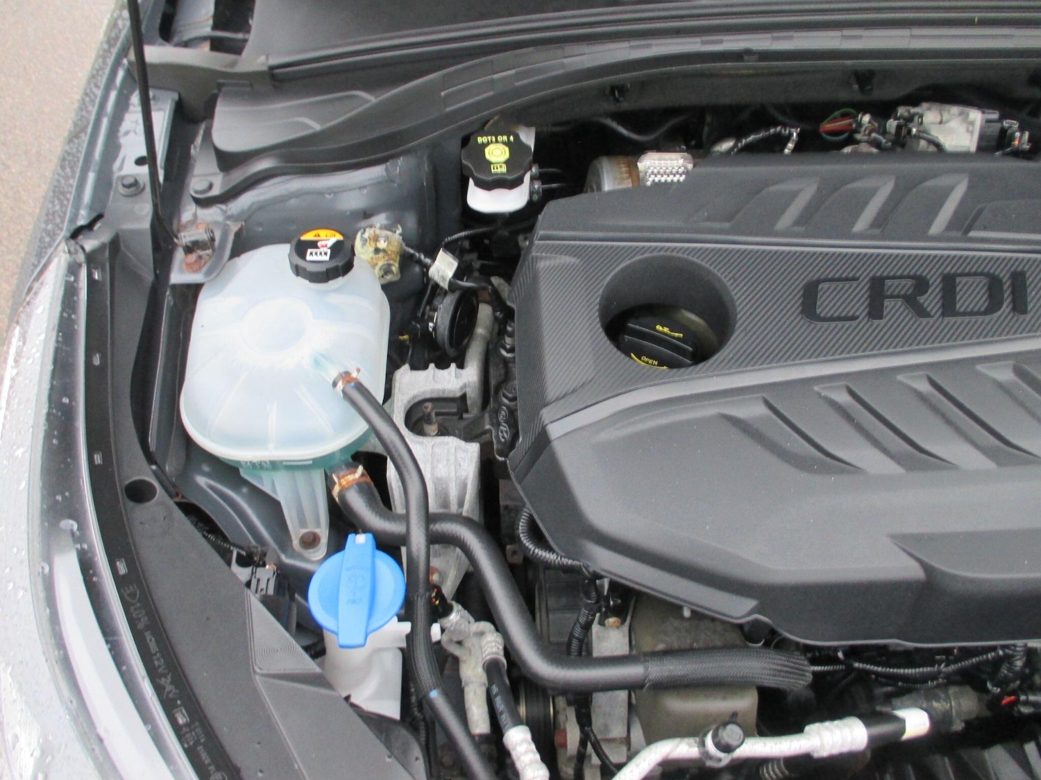 Used Kia Ceed 2019 for sale - 77230061: Photo 51