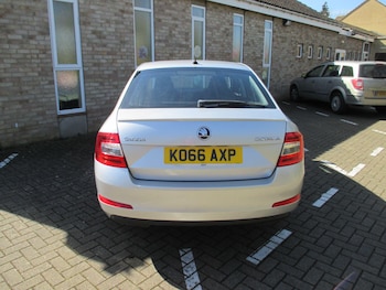 Used Skoda Octavia 2017 for sale - 78073099: Photo