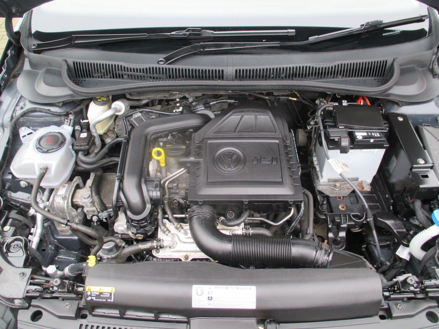 Used Volkswagen Polo for sale - 76409500: Photo 51